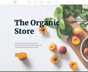 Organic food store website